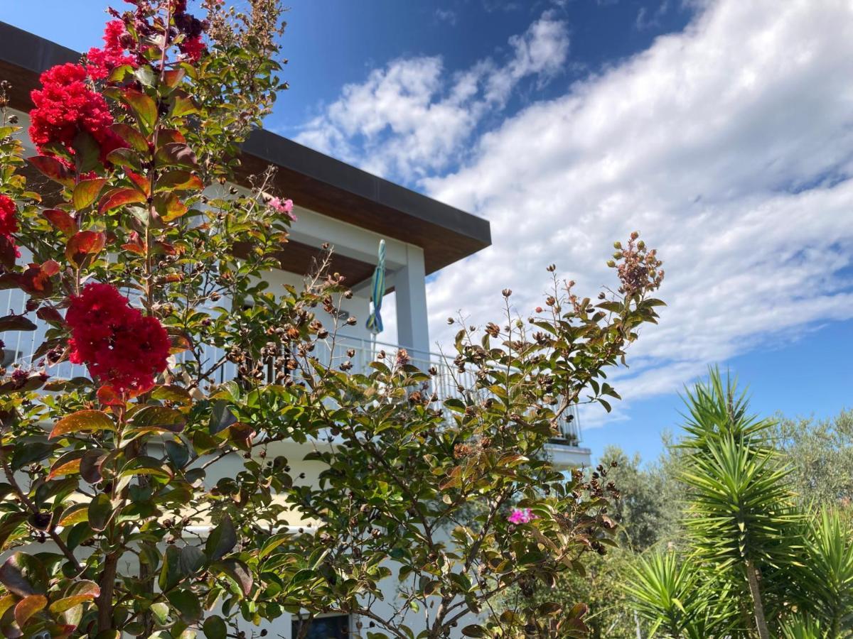 Gioia In Collina Bed & Breakfast Torrevecchia Teatina Dış mekan fotoğraf