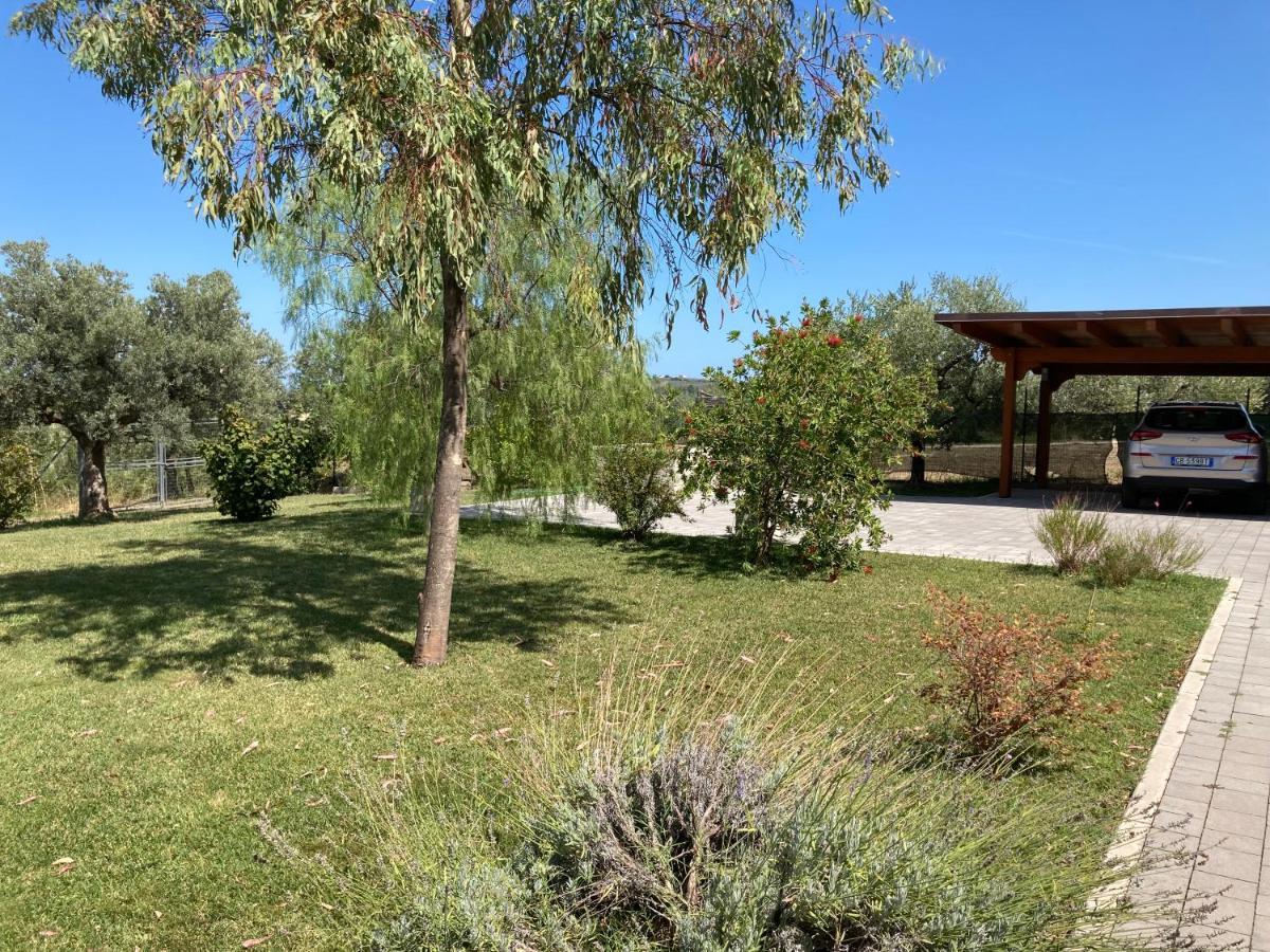 Gioia In Collina Bed & Breakfast Torrevecchia Teatina Dış mekan fotoğraf