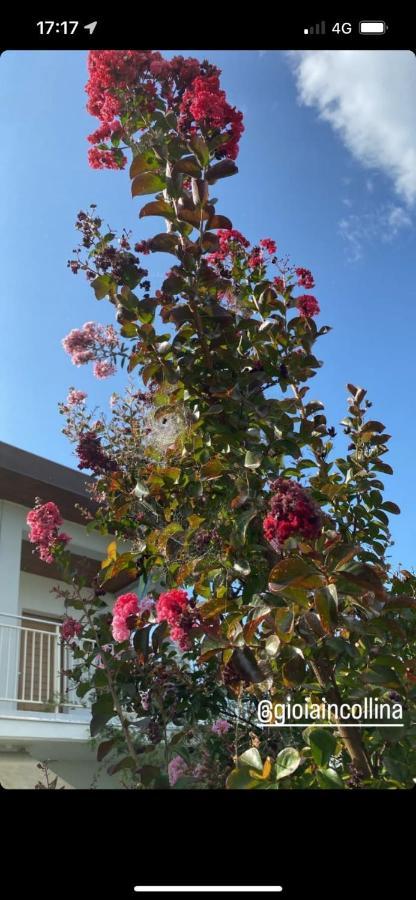 Gioia In Collina Bed & Breakfast Torrevecchia Teatina Dış mekan fotoğraf