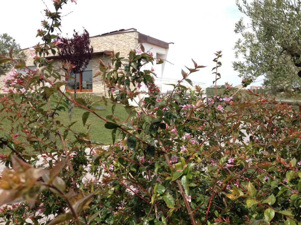 Gioia In Collina Bed & Breakfast Torrevecchia Teatina Dış mekan fotoğraf