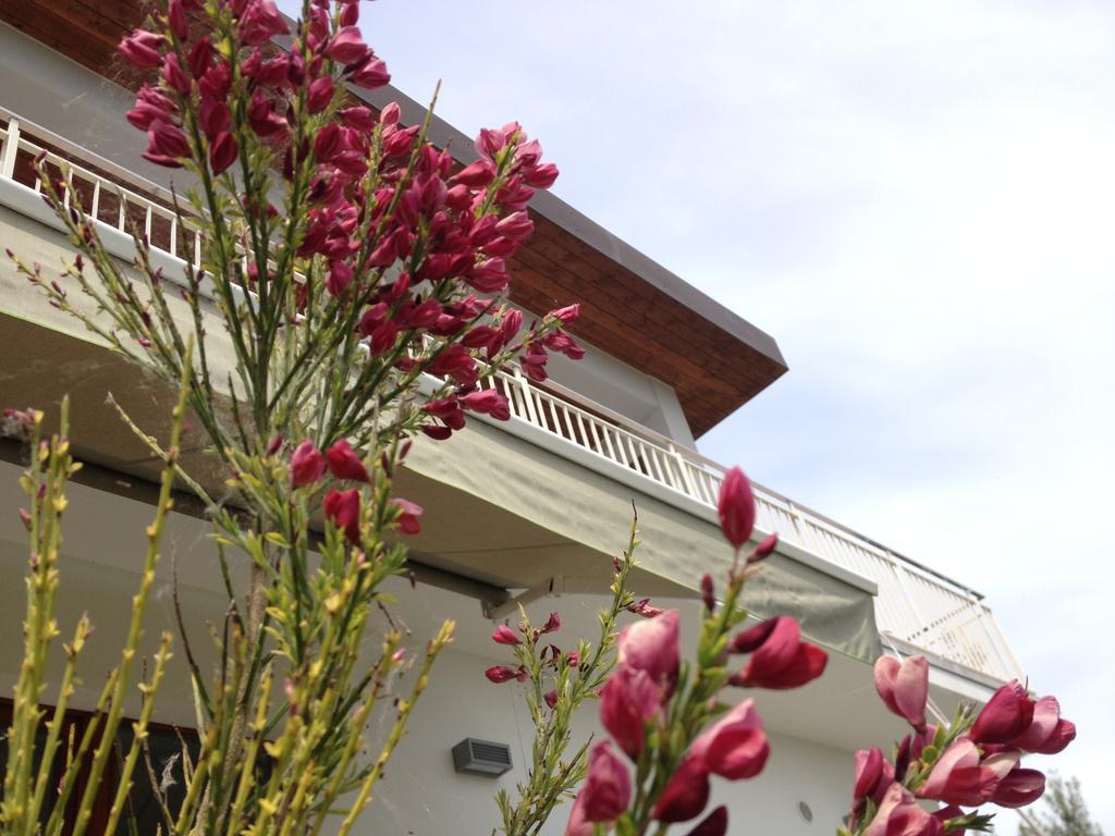 Gioia In Collina Bed & Breakfast Torrevecchia Teatina Dış mekan fotoğraf