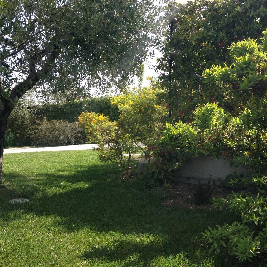 Gioia In Collina Bed & Breakfast Torrevecchia Teatina Dış mekan fotoğraf