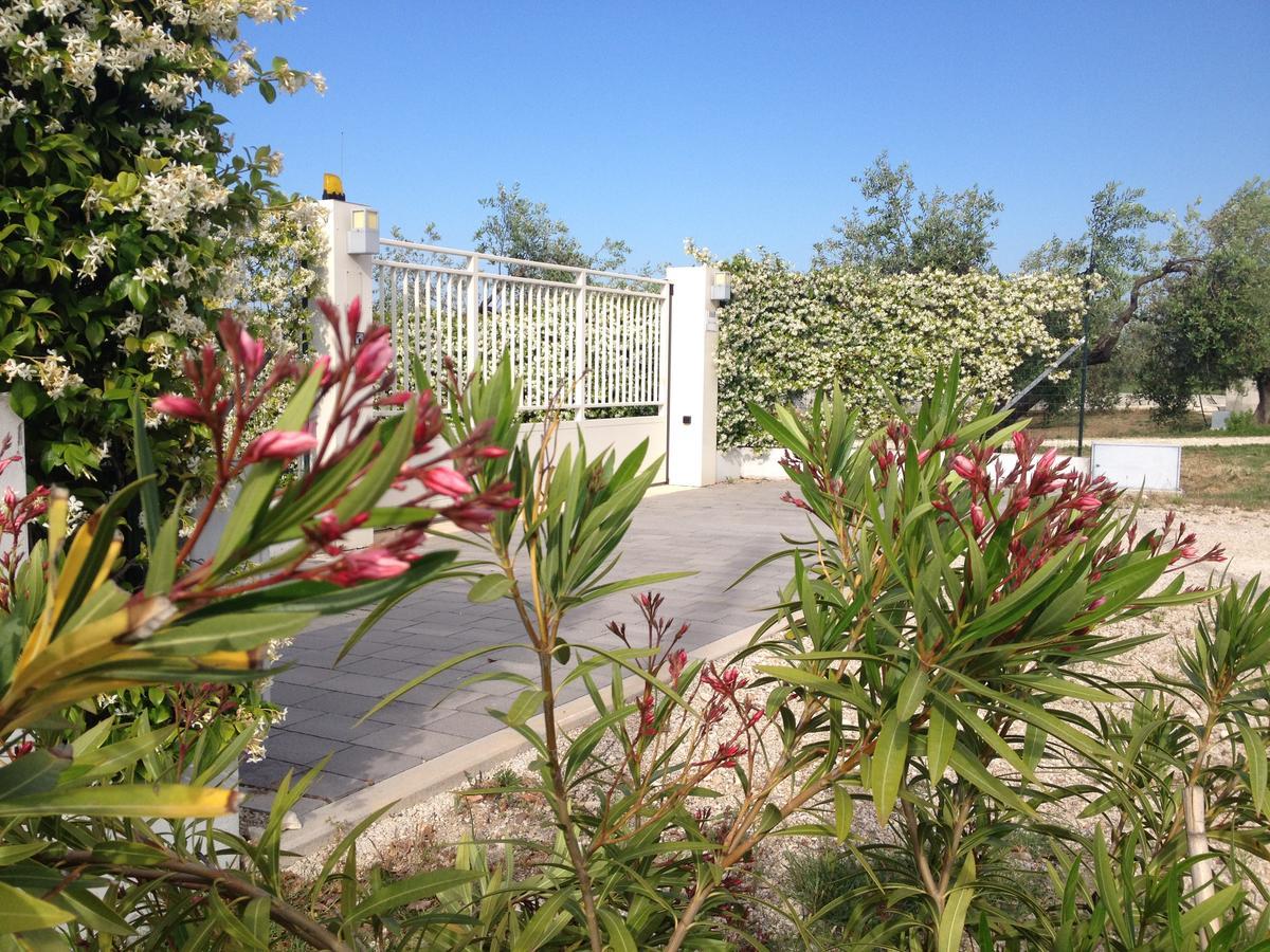 Gioia In Collina Bed & Breakfast Torrevecchia Teatina Dış mekan fotoğraf